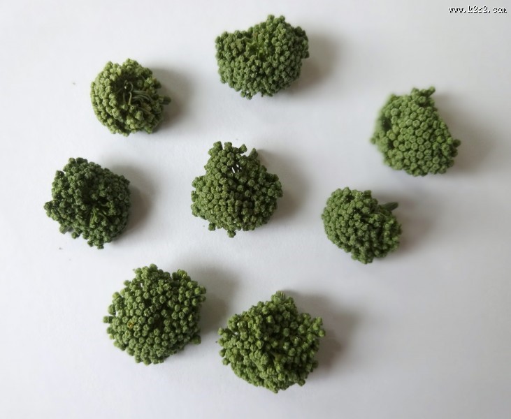 新鲜三七花图片大全