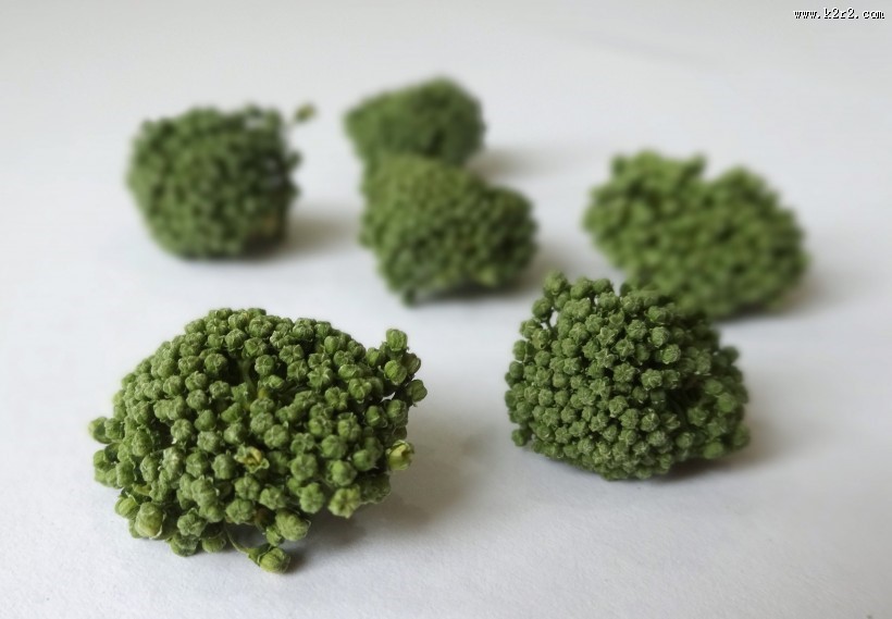 新鲜三七花图片大全