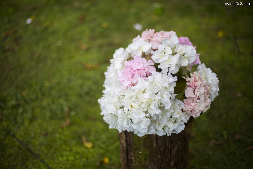 草坪婚礼布置图片