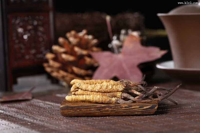 珍贵的野生冬虫夏草图片