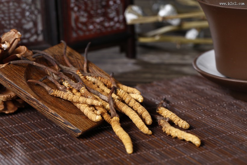 珍贵的野生冬虫夏草图片