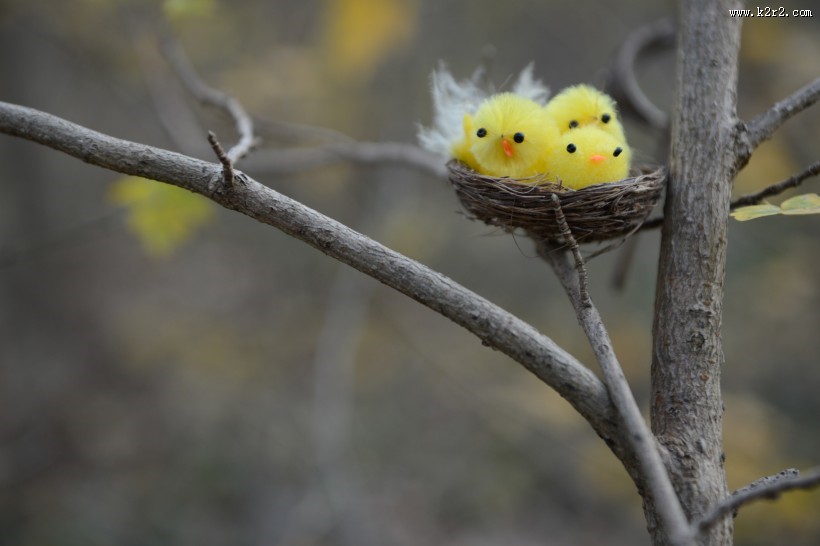 可爱的玩具小鸟的巢大全