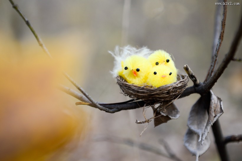可爱的玩具小鸟的巢大全