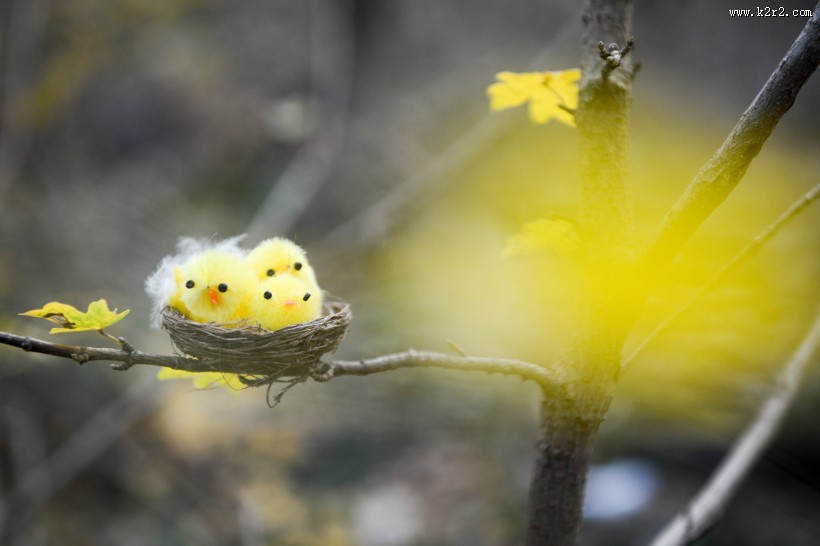 可爱的玩具小鸟的巢大全