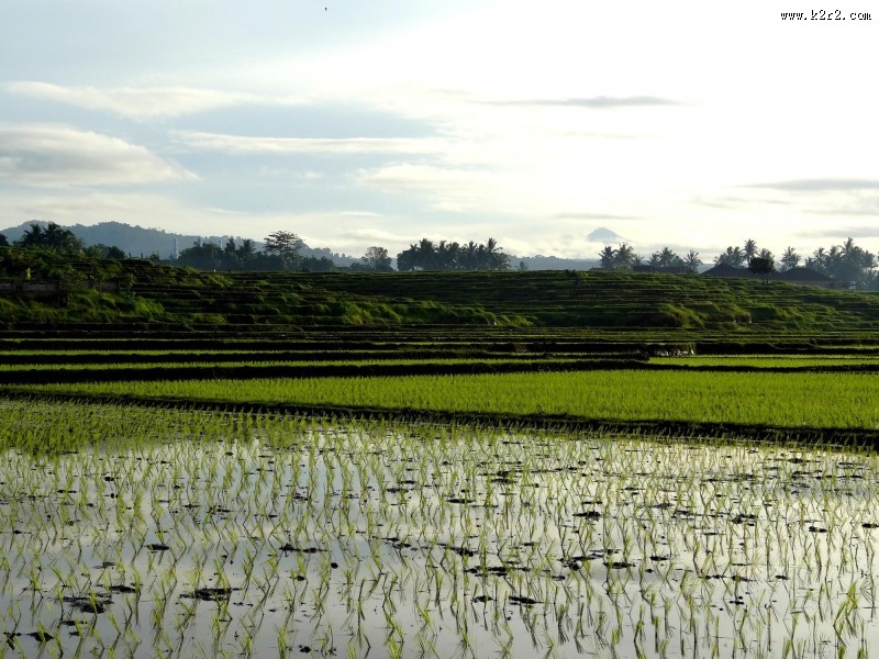 梯田风景图片