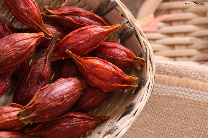 清热凉血黄栀子图片