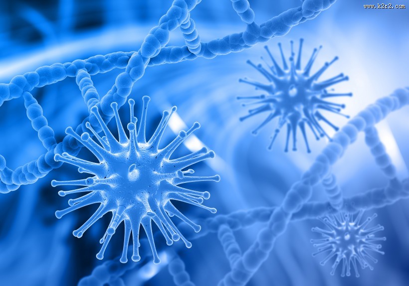 显微镜下的细菌图片大全