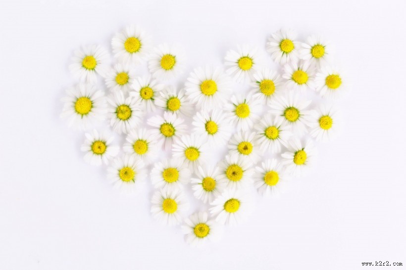 温暖的心形图片