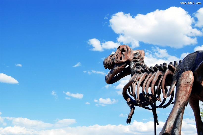 古老的恐龙化石图片大全