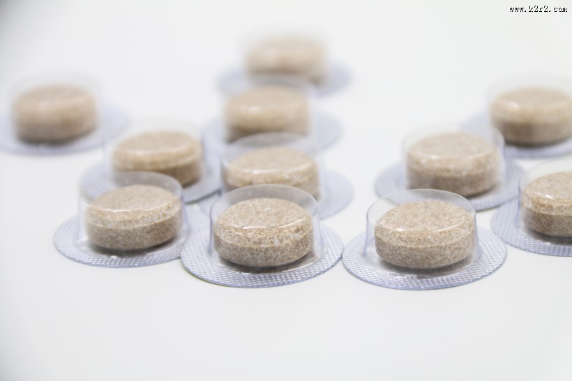 中药地龙片图片大全