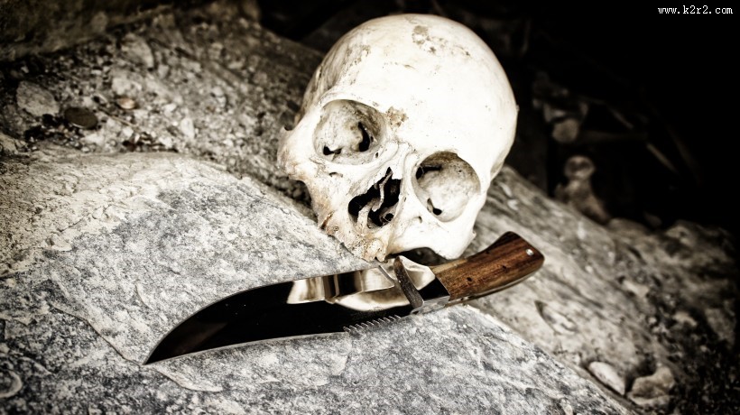 骷髅头骨图片大全