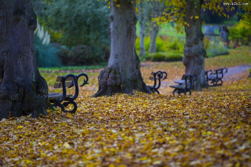 公园中的长椅图片