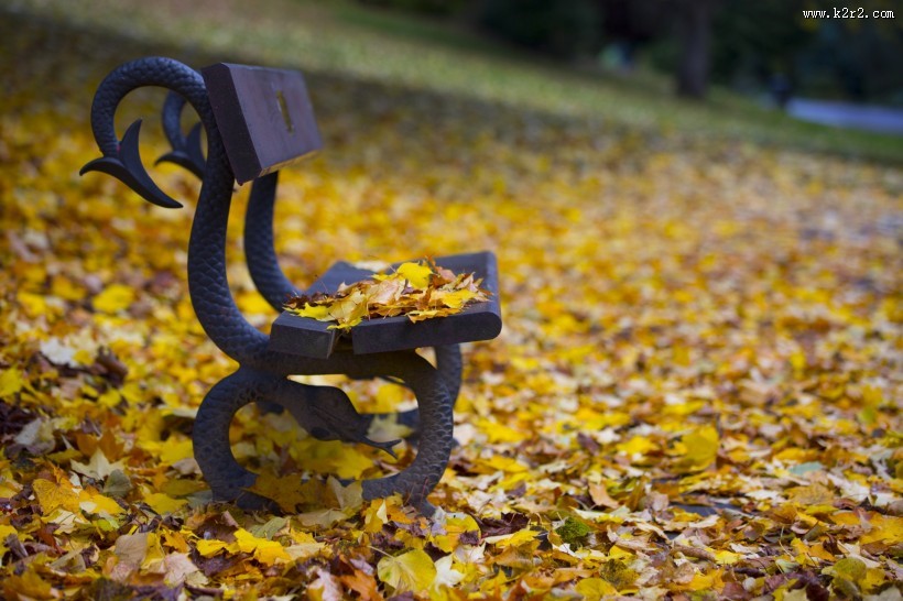 公园中的长椅图片