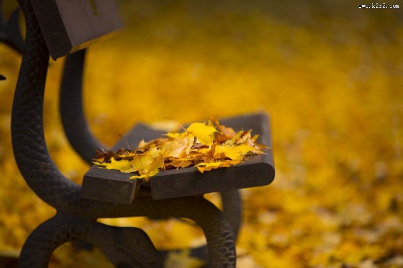 公园中的长椅图片