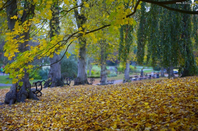 公园中的长椅图片