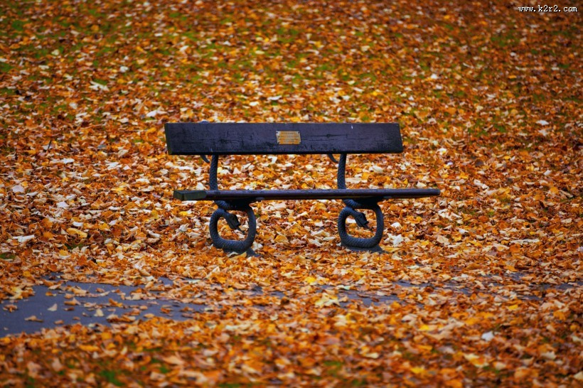 公园中的长椅图片