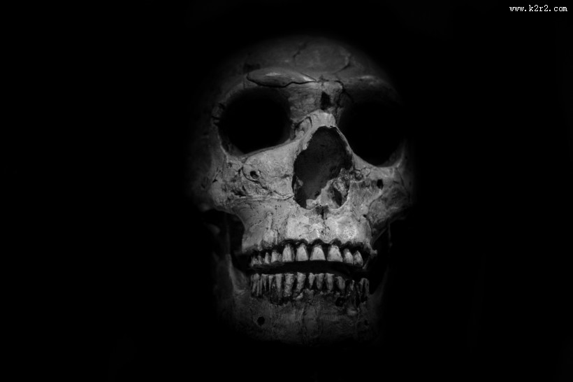 骷髅头骨图片