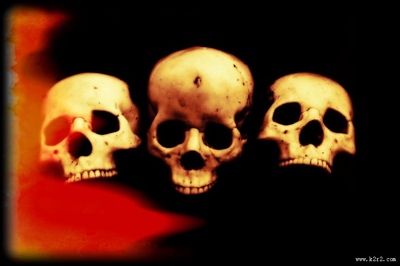 骷髅头骨图片