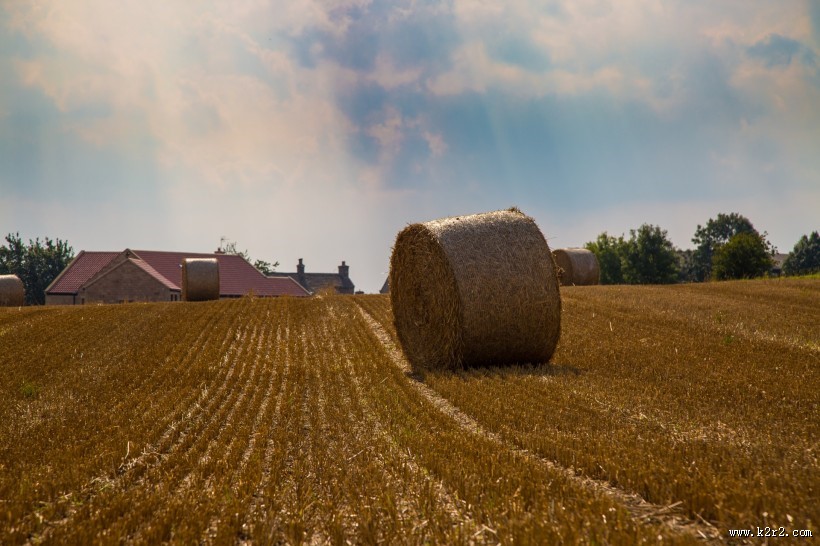 圆形的干草垛图片