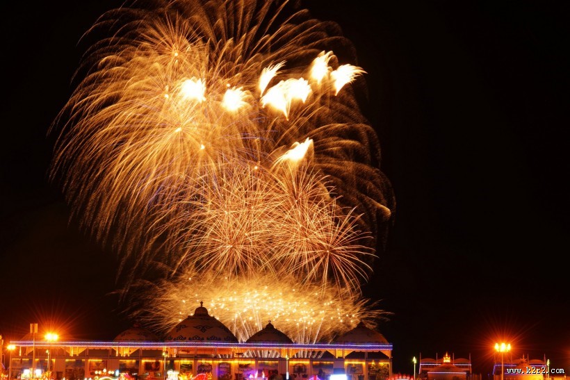 节日的烟花图片