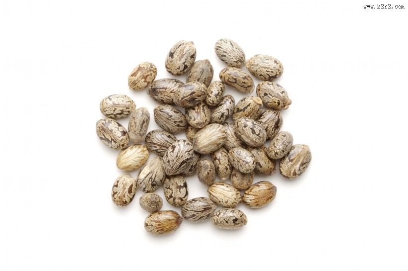 中药药材大全图片