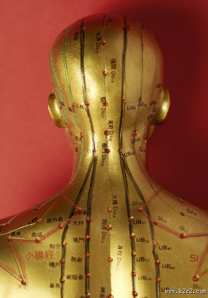 人体穴位模型图片