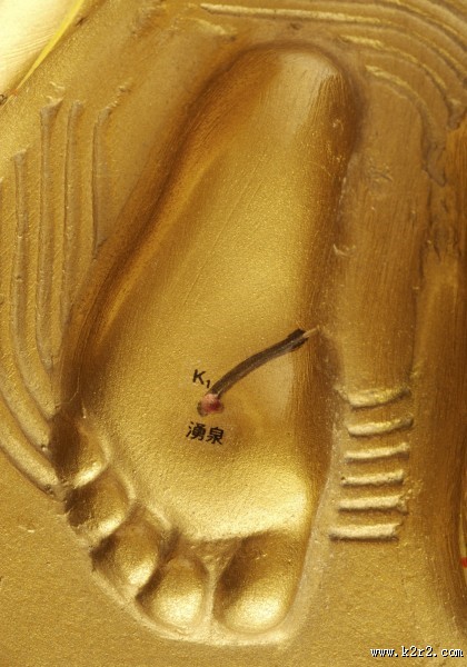 人体穴位模型图片