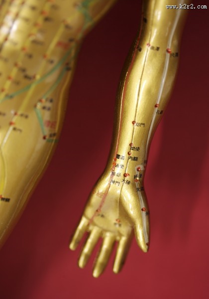 人体穴位模型图片