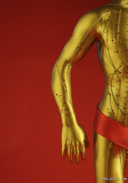 人体穴位模型图片