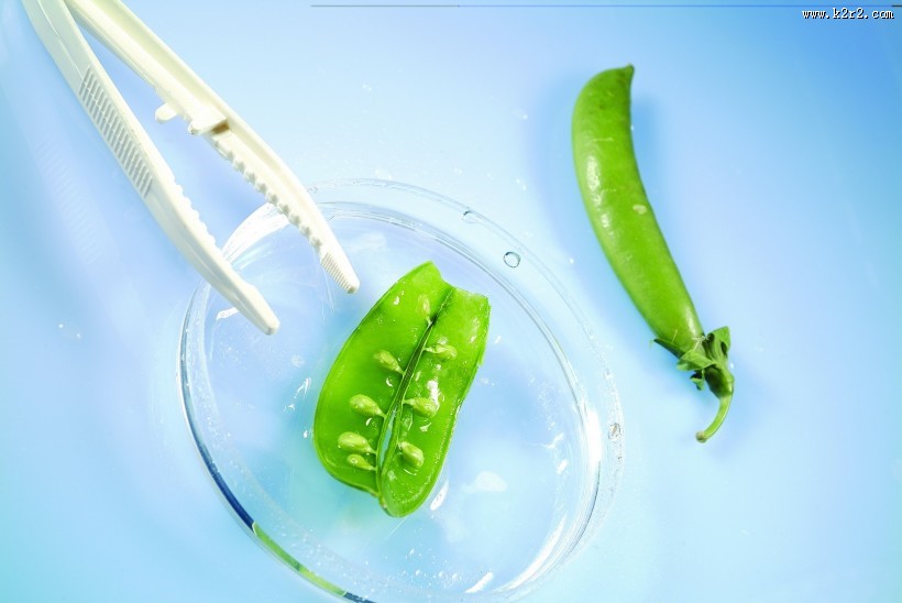 生物科技研究图片