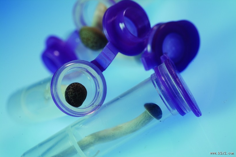 生物科技研究图片