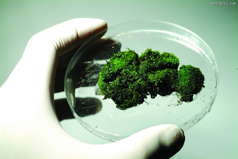 生物科技研究图片