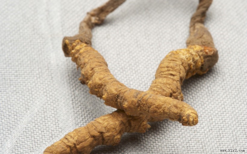 中药材图片大全