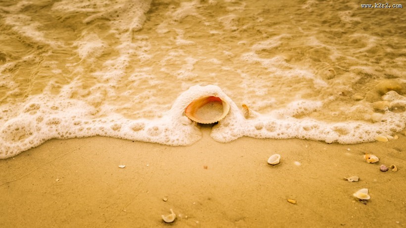 细软的海滩图片