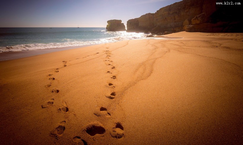 细软的海滩图片
