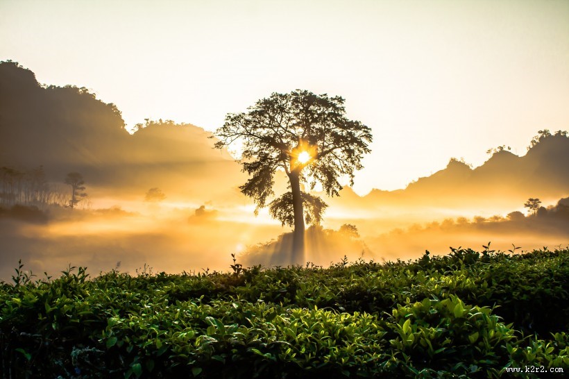 唯美的日出图片
