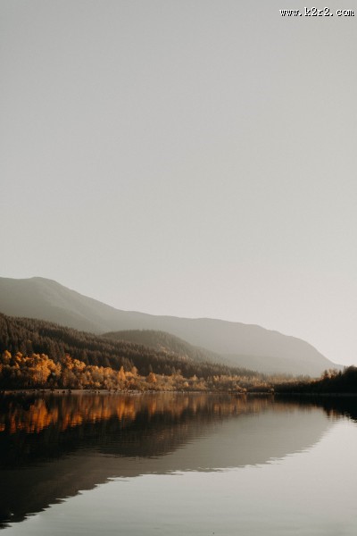 唯美的秋季树林风景图片大全