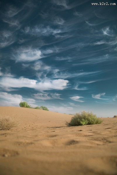无边的沙漠图片