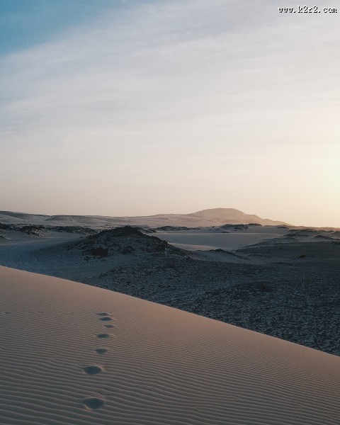 无边的沙漠图片