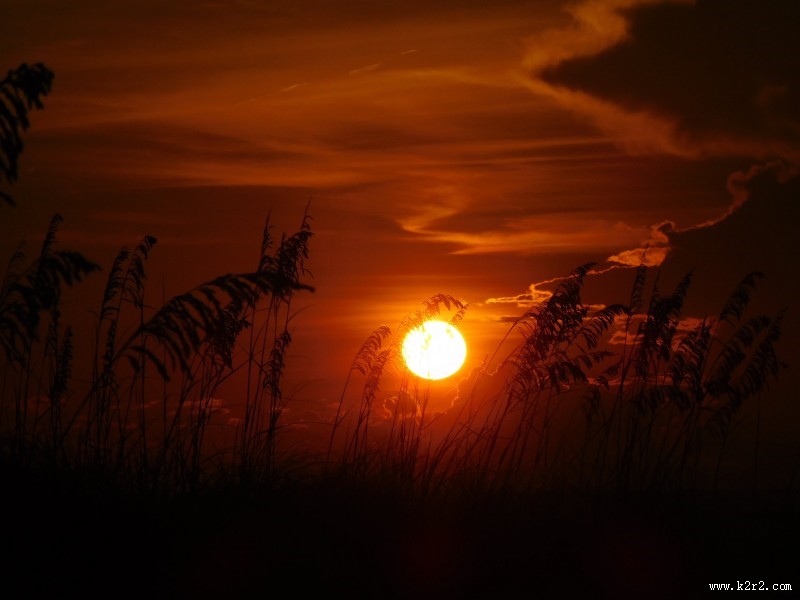 景色秀美的夕阳图片