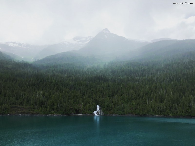 大雾天的森林图片