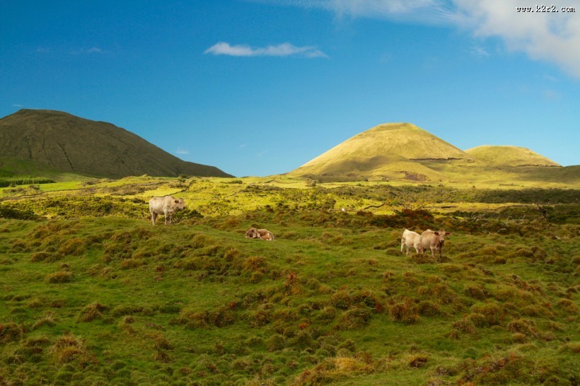 宽广的草原图片