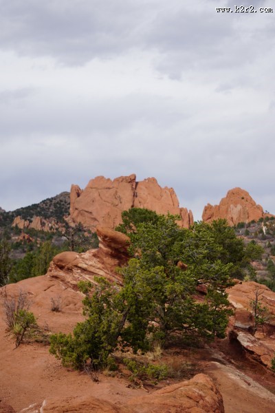 红色的岩石图片