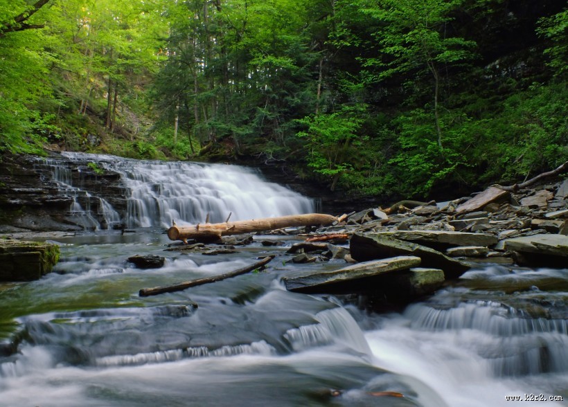 森林小溪山间流水图片