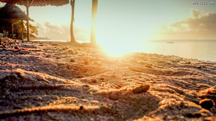 清晨的朝阳图片