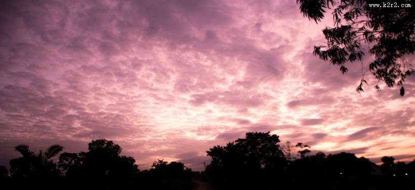 清晨的朝阳图片