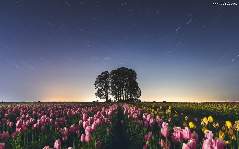 遥不可及的闪亮的星空图片