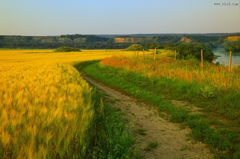 宁静的田野图片