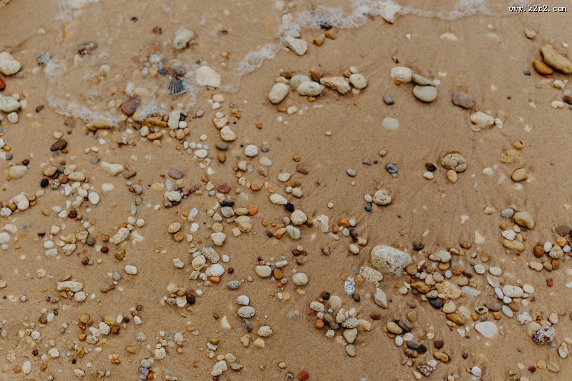 沙滩贝壳和小石子的图片