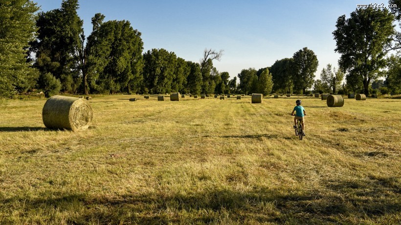 夏日田园里的草垛自然风光图片